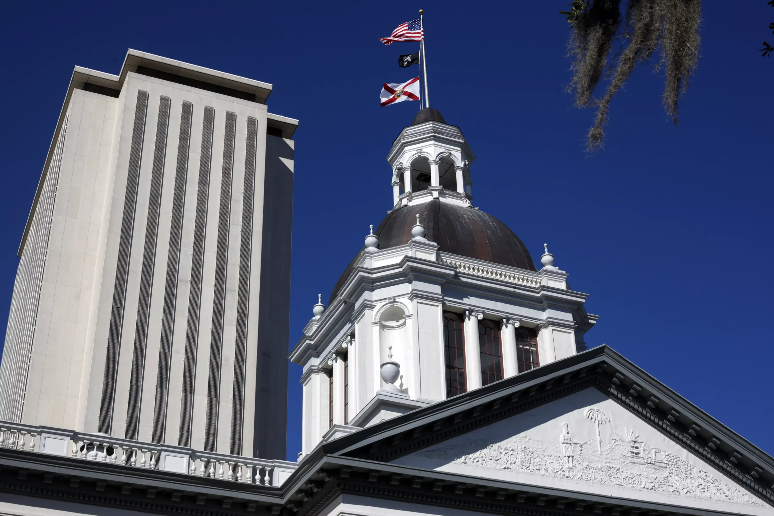 New laws were enacted in the Florida Capitol.
