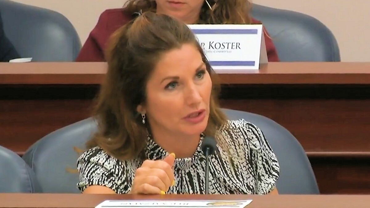 Rep. Michelle Salzman speaks during a committee hearing about a bill that makes it illegal to produce sexual images of a person using artificial intelligence or similar technologies.