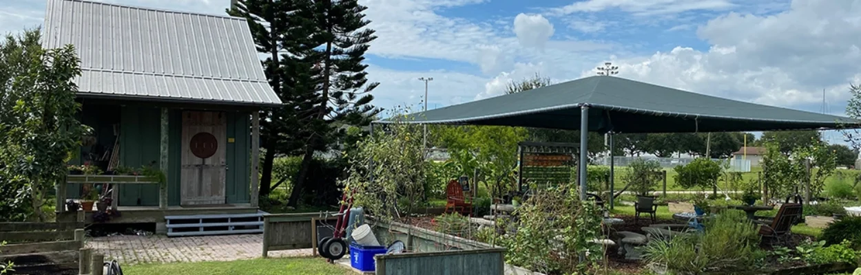 The Lincolnville Community Garden, which got its start with funding from St. Augustine's Neighborhood Grant Program.