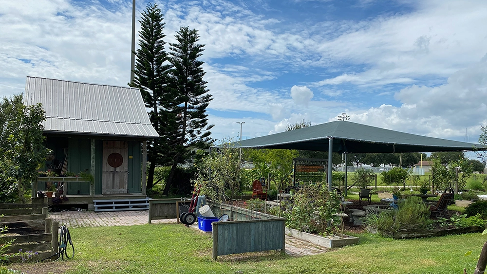 The Lincolnville Community Garden, which got its start with funding from St. Augustine's Neighborhood Grant Program.