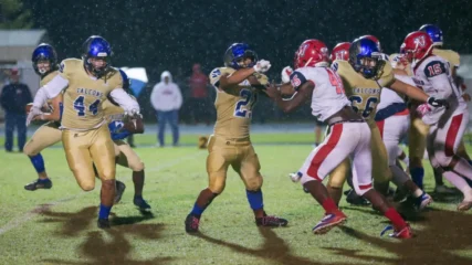 Featured image for “Pedro Menendez field may be named after first principal”