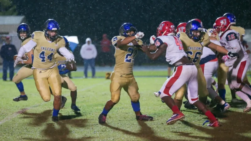 Featured image for “Pedro Menendez field may be named after first principal”