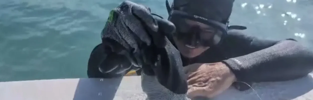 A diver with coins found on the Treasure Coast