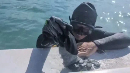 Featured image for “Treasure hunters recover $1M in coins from shipwreck”