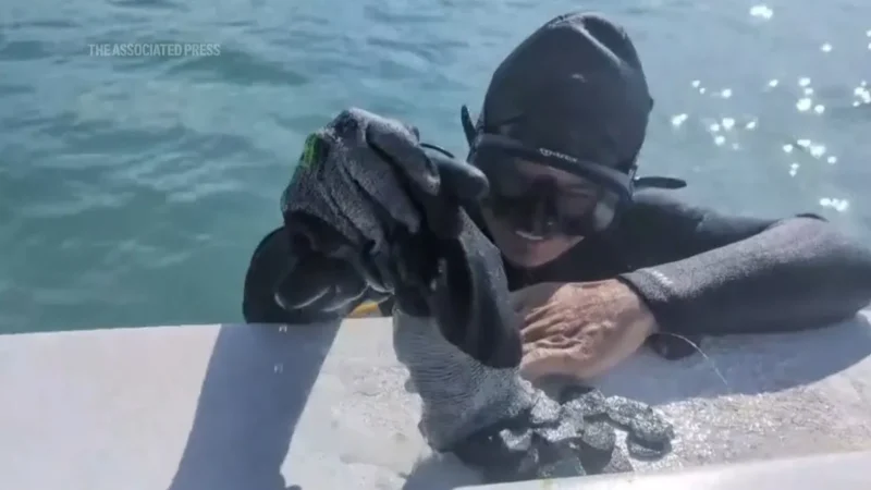 Featured image for “Treasure hunters recover $1M in coins from shipwreck”