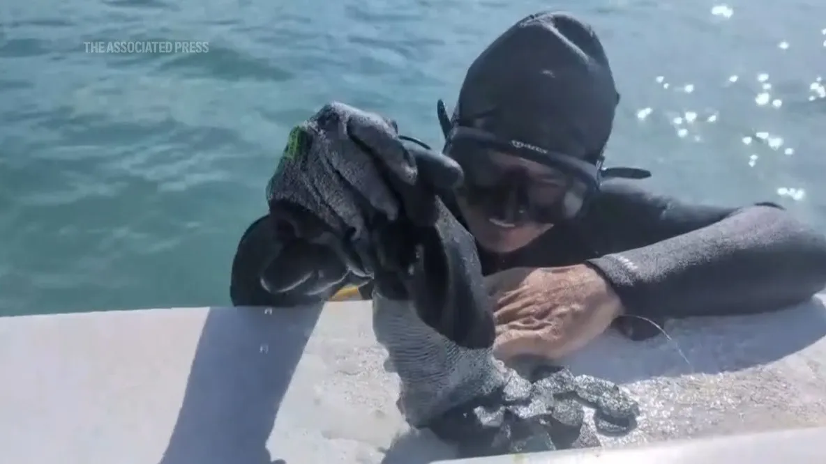 A diver with coins found on the Treasure Coast
