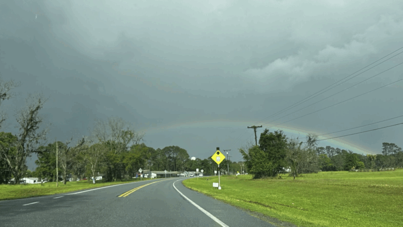 Featured image for “THE JAXSON | The struggle to remove hate signs in Union County”