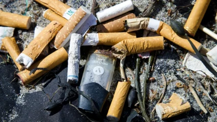 Featured image for “St. Johns County bans smoking at parks and beaches”