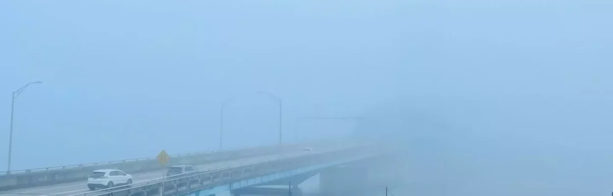 Dense fog over Northeast Florida.