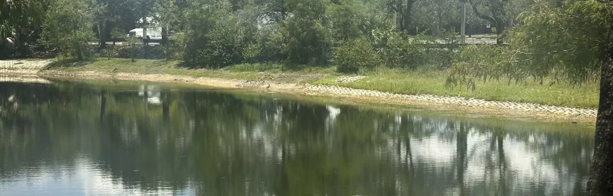 A pond with low water during the drought.
