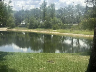 Featured image for “Worst areas of drought improve in North Florida”