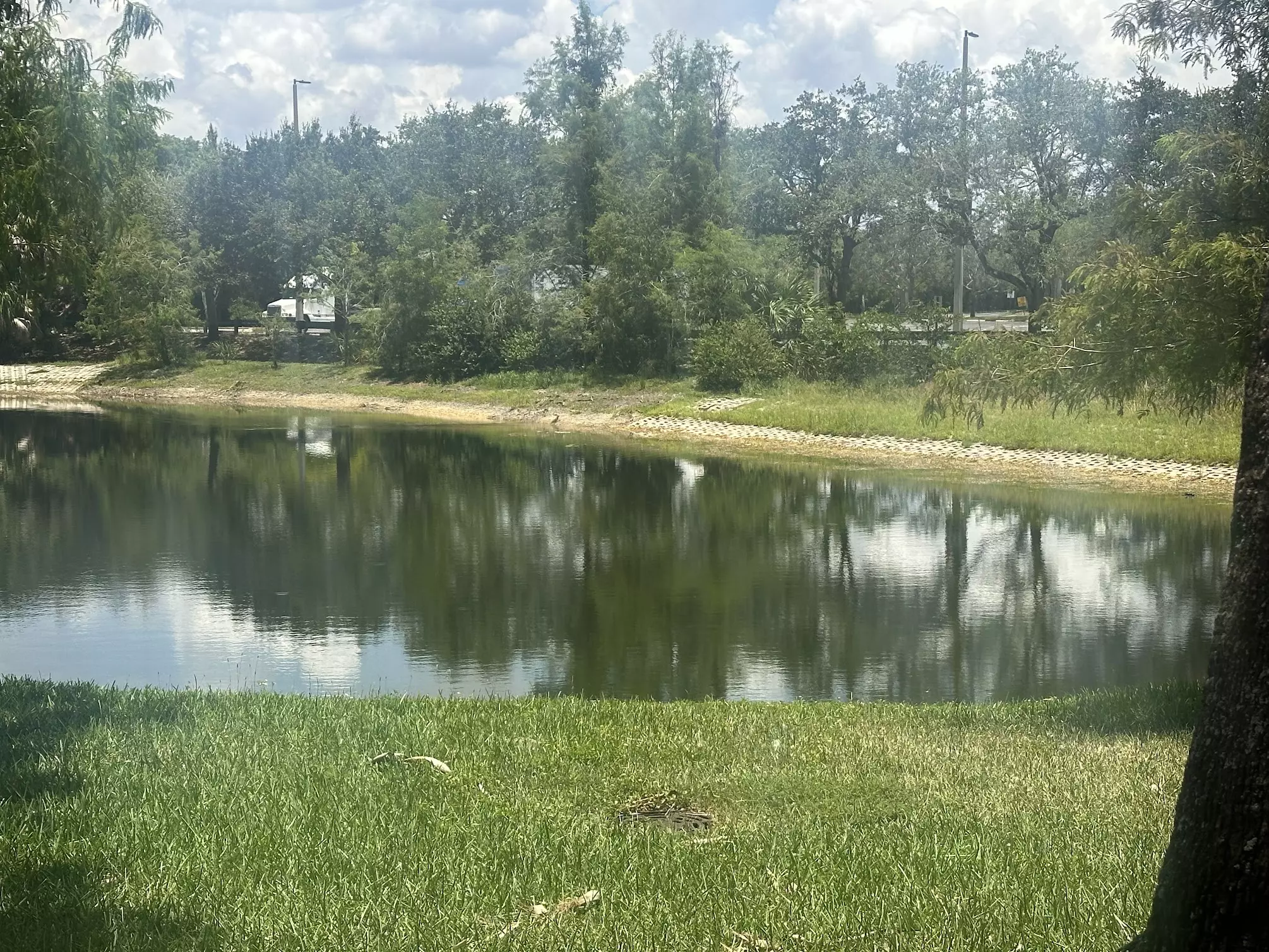 Featured image for “Worst areas of drought improve in North Florida”