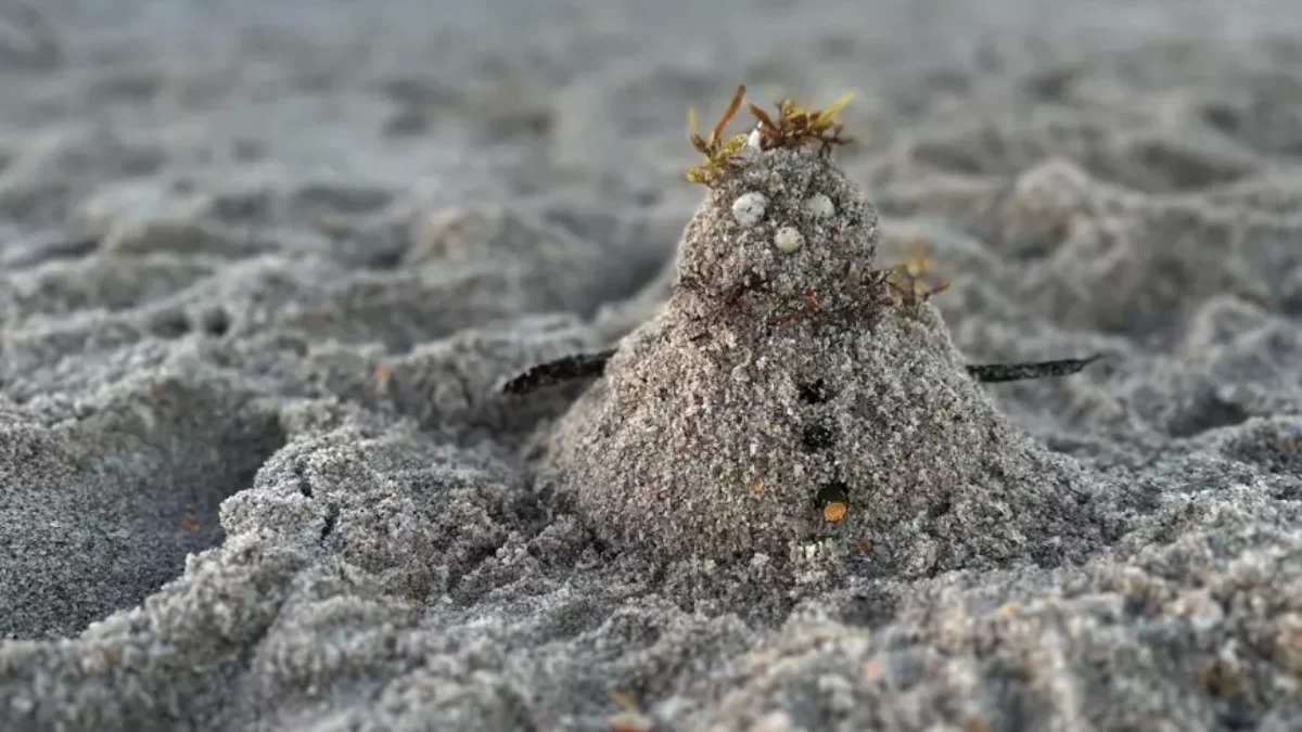 A sand snowman