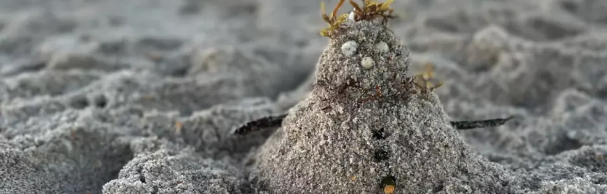 A sand snowman