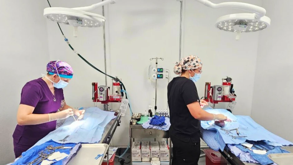 EveryPet treats pets in Jacksonville.