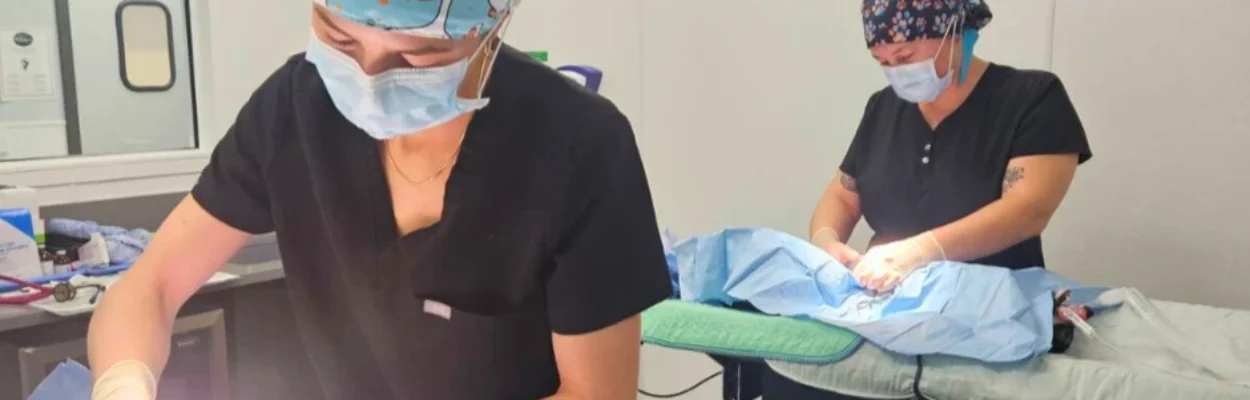 EveryPet employees provide care to pets.