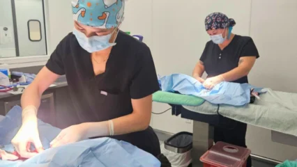 Featured image for “Students train to spay and neuter pets, filling gaps in care”