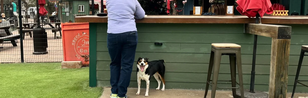 Dogs are now allowed on patios in Jacksonville.