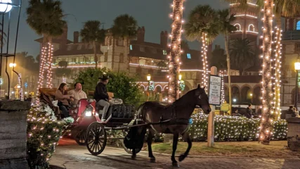 Featured image for “Highly contagious horse disease reported in St. Augustine”