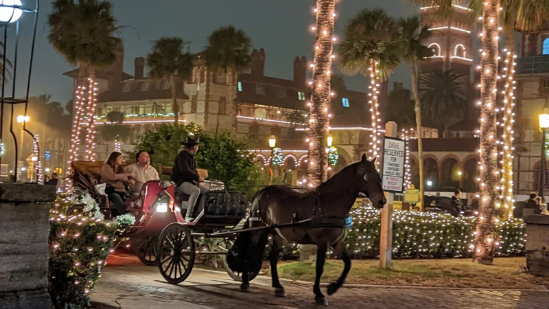 Featured image for “Contagious equine disease reported in St. Augustine”
