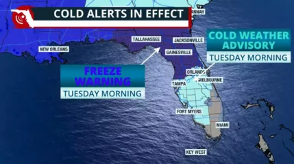 Featured image for “Arctic blast brings the coldest air to North Florida”