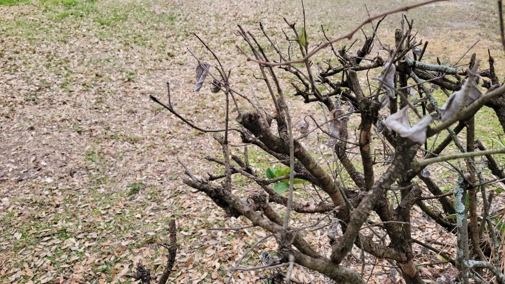 Duval and Baker residents asked to conserve water during shortage