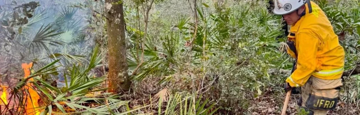 Jacksonville firefighters battle a 2-acre wildfire recently on UNF Drive.