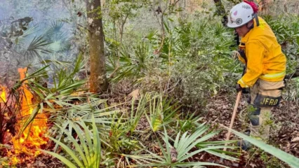 Featured image for “Jacksonville officials warn about serious wildfire risks”