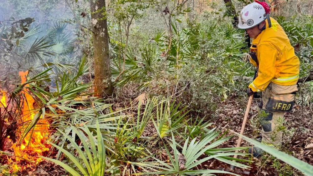 Jacksonville firefighters battle a 2-acre wildfire recently on UNF Drive.