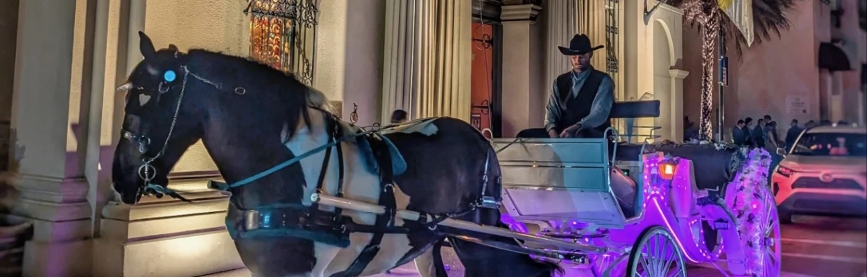 A Country Carriages horse and carriage on the street.