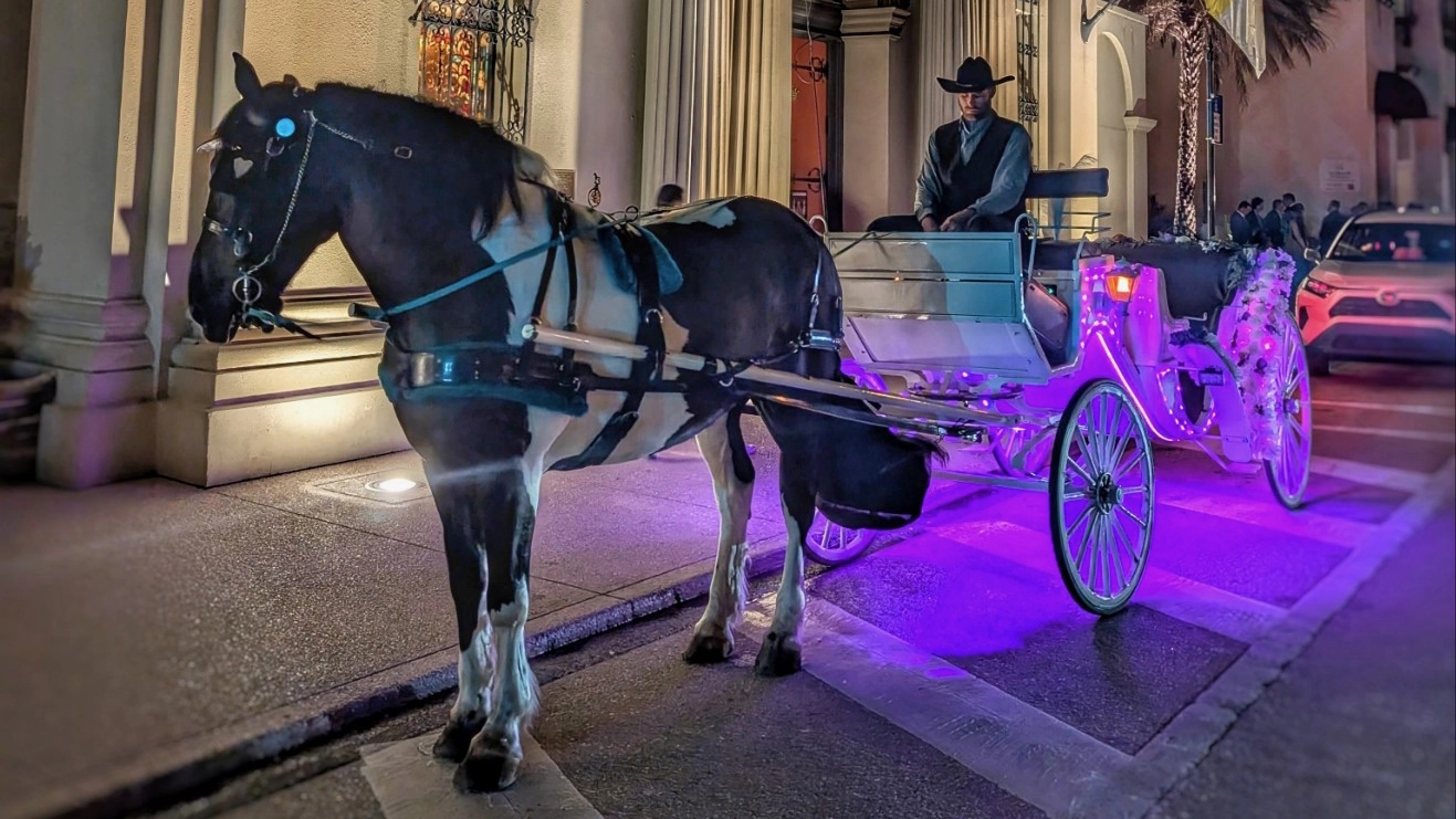 Featured image for “St. Augustine drops longtime horse carriage operator”