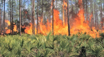 Featured image for “Strong winds and dry air bring wildfire warnings”
