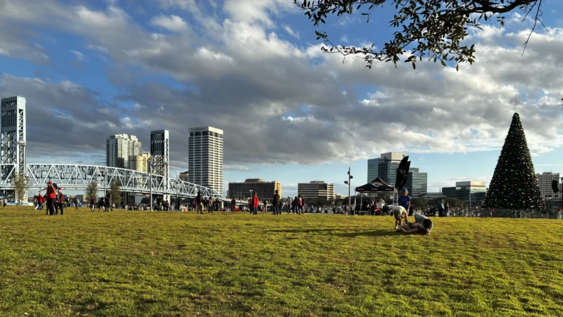 Featured image for “WHAT TO DO | ‘Alice by Heart,’ ‘Princess Bride’ in the park; Midnight Moon Galentine’s Day”