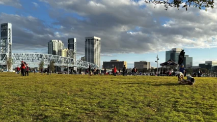 Featured image for “WHAT TO DO | ‘Alice by Heart,’ ‘Princess Bride’ in the park; Midnight Moon Galentine’s Day”