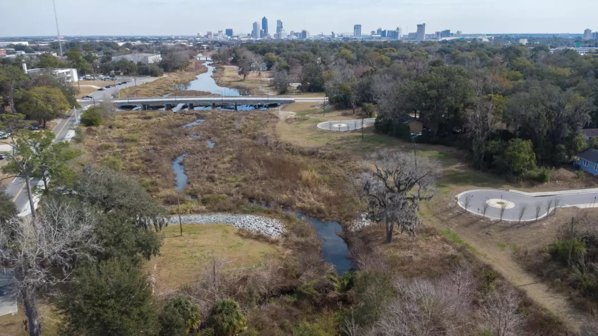 The landscape and skyline of Jacksonville as spring approaches.