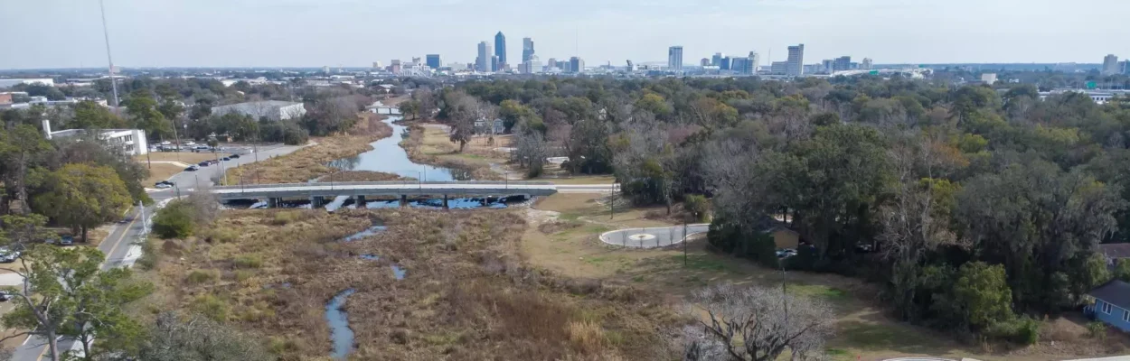 The landscape and skyline of Jacksonville as spring approaches.