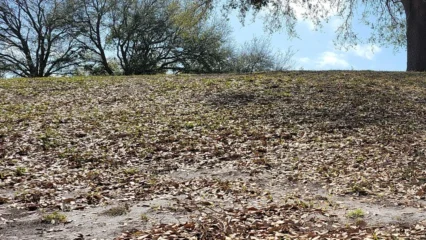 Featured image for “Water shortage grows more severe in Northeast Florida”