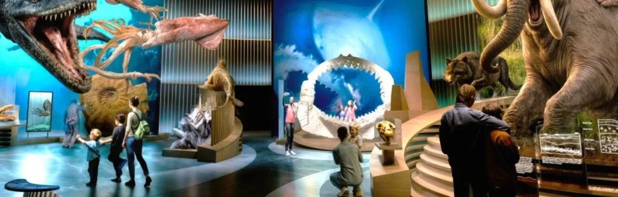 Illustration of MOSH's planned Nature & Culture gallery