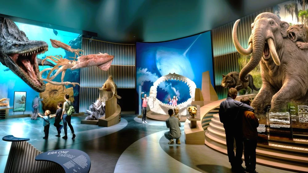 Illustration of MOSH's planned Nature & Culture gallery