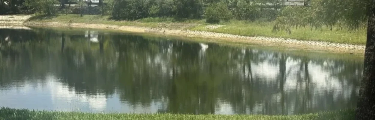 A pond in the drought, which has JEA watching pressure in its water system.