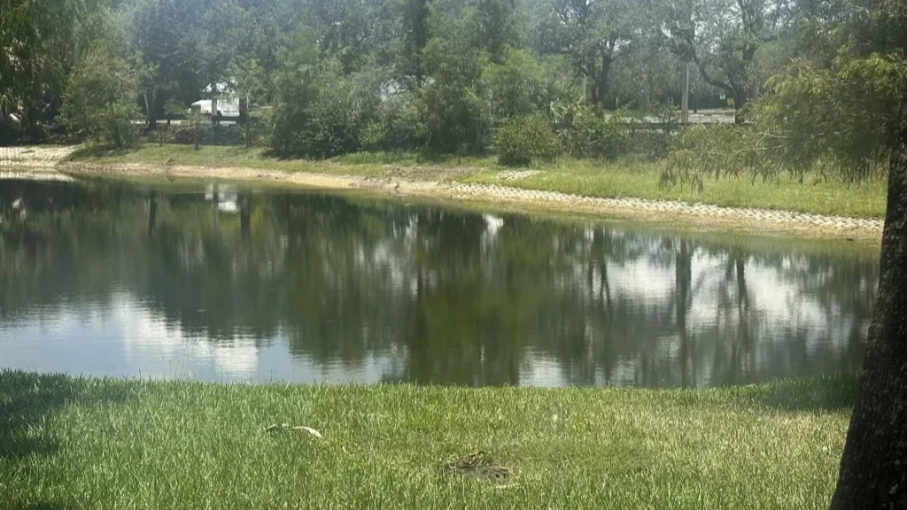 A pond in the drought, which has JEA watching pressure in its water system.