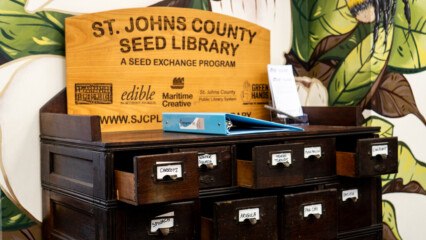 Featured image for “BIT OF JOY | St. Johns County seed library”