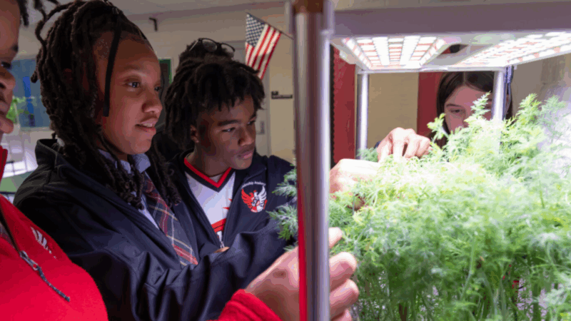 Featured image for “Duval Schools considers name for STEM program at Eugene Butler”