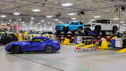 Featured image for “Southeast Toyota shows off huge new JAXPORT site”