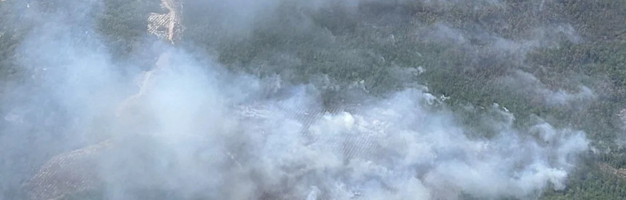 A wildfire in Clay and Putnam counties is shown from the air.