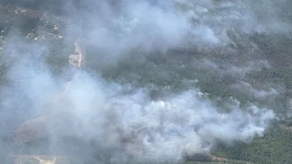 Featured image for “Wildfire risks could grow over next 10 weeks, officials warn”