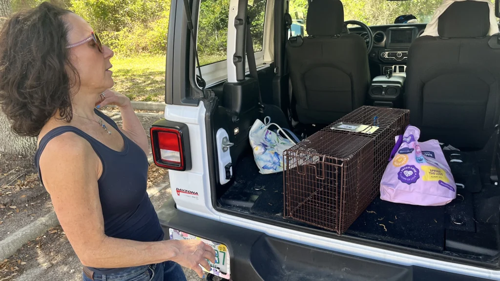 Cat activist Adrienne Arnone's car is always loaded up with traps, food and other tools to help her bring stray and feral cats in.