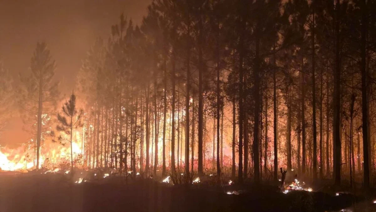 Wildfire west of Hilliard