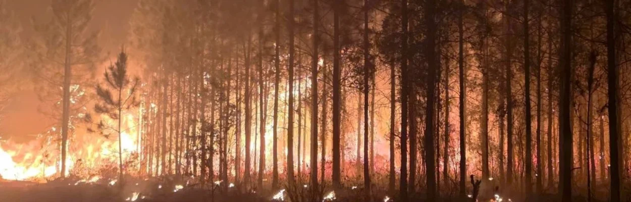 Wildfire west of Hilliard