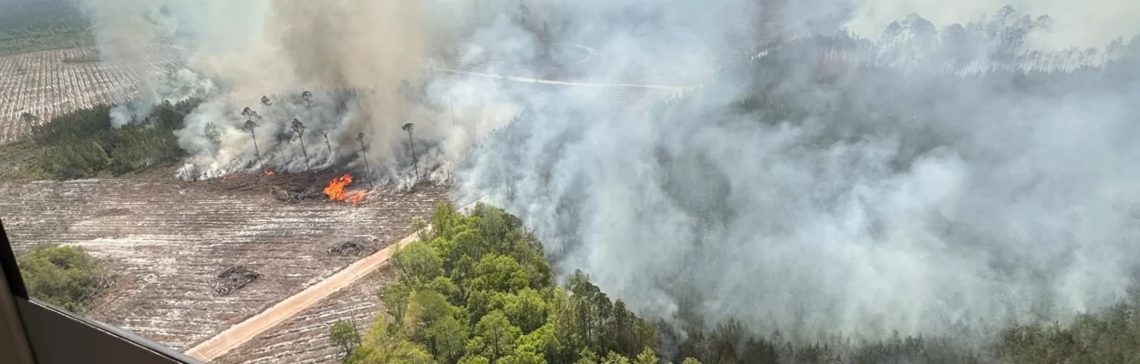 Smoke from wildfire Brantley County, Georgia